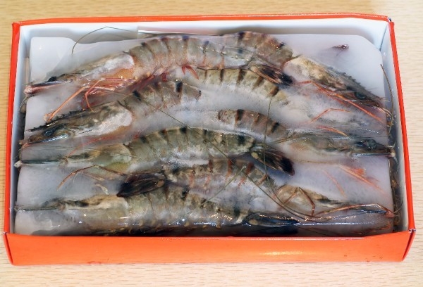 5 lbs. U15 Shrimp Block